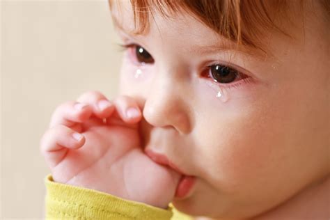 چشمان اشک‌ آلود-نوزادان حساس به پروتئین گاوی